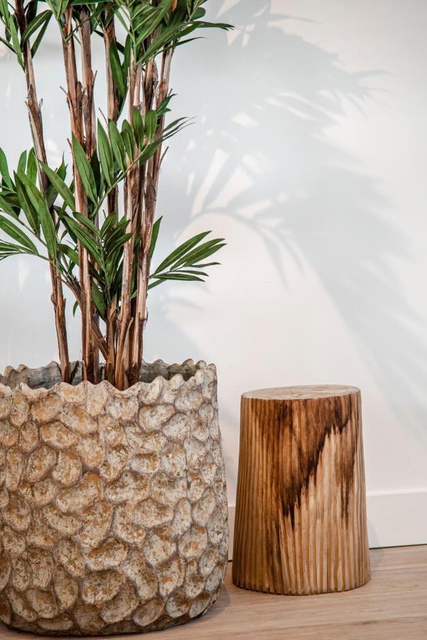 Yucca Beachhouse Zandvoort Zewnętrze zdjęcie