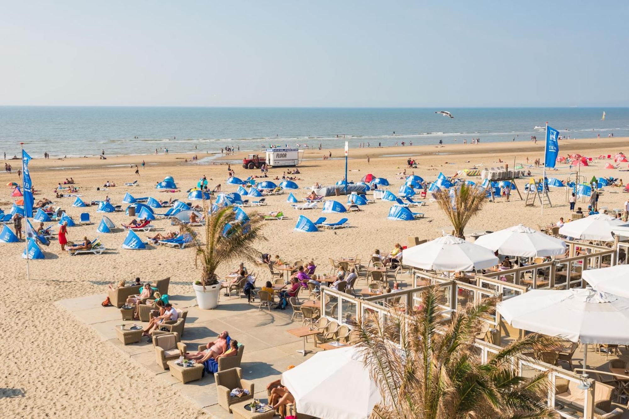 Yucca Beachhouse Zandvoort Zewnętrze zdjęcie
